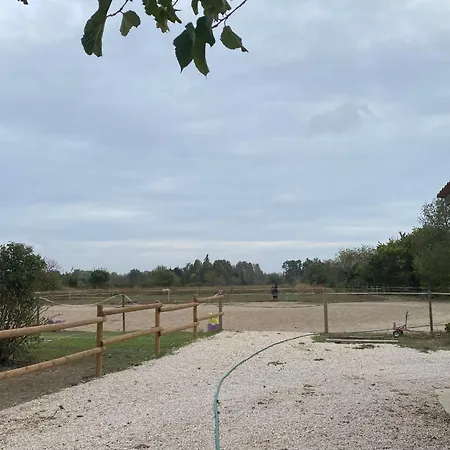 Gite Provençal du Mas Arnaud-3